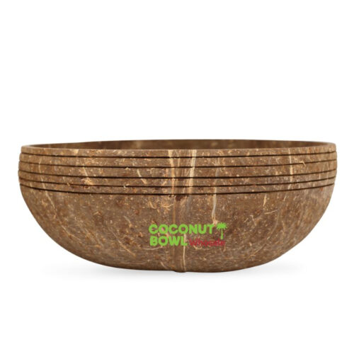 Buy Carved Coconut Bowl In Vietnam (NCB-0052)