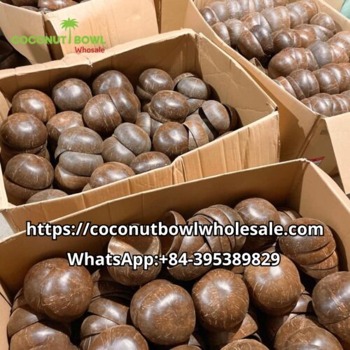 Coconut Bowl Wholesale