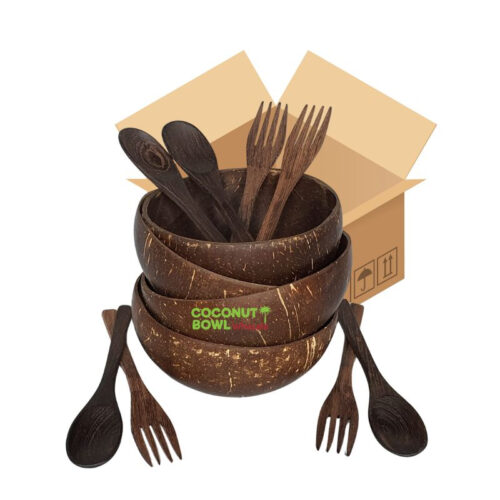 Coconut Shell Bowl With Spoon And Fork (NCB-0029)