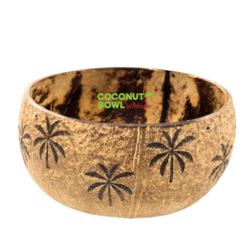 Natural Old Coconut Shell Carved Bowl (NCB-0018)