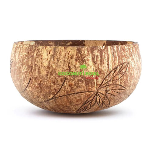 New Design 2024 Coconut Shell Bowl (NCB-0004)