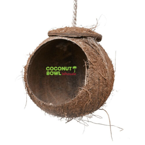 Birdhouse Parrot Coconut Shell (CBP-0014)