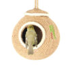 Birds Nest Coconut Shell (CBP-0005)