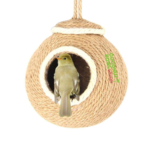 Birds Nest Coconut Shell (CBP-0005)