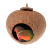 Coconut Shell Bird Nest For Parrots (CBP-0004)