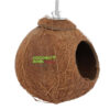 Coconut Shell Birds Nest (CBP-0010)