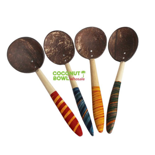 Coconut Shell Colorful Wooden Spoon (CSS-0006)