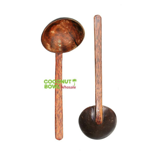 Coconut Shell Cooking Spoon (CSS-0004)