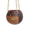 Coconut Shell Hanging Flower Pot (DCB-0053)