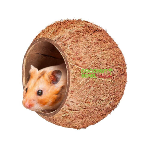 Coconut Shell House Hamster (CBP-0002)