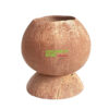 Coconut Shell Indoor Planter Pot (DCB-0050)