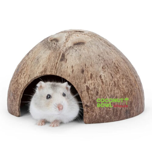 Coconut Shell Pet Cave Small Animal (CBP-0008)