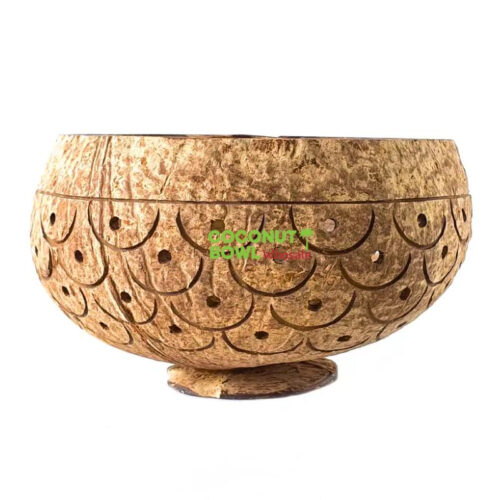 Coconut Shell Plant Pot (DCB-0043)