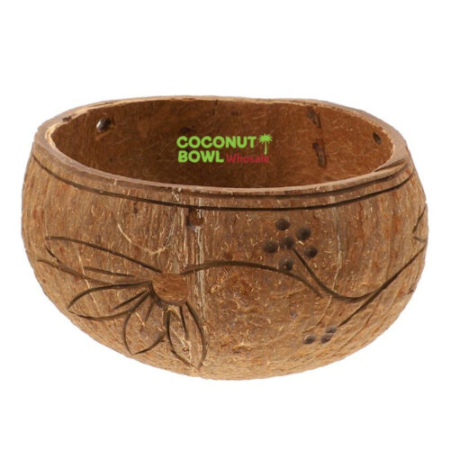 Coconut Shell Planter Pot (DCB-0041)