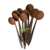 Coconut Shell Spoon (CSS-0002)