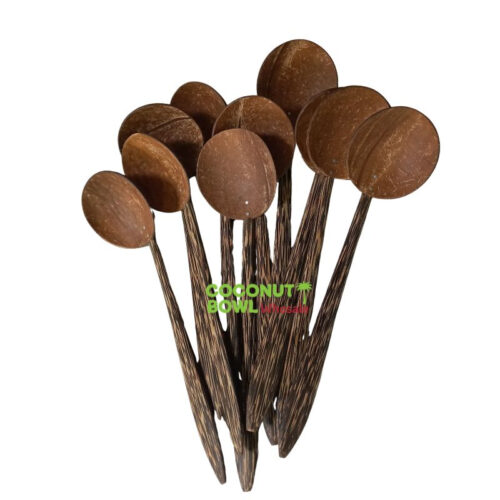 Coconut Shell Spoon (CSS-0002)