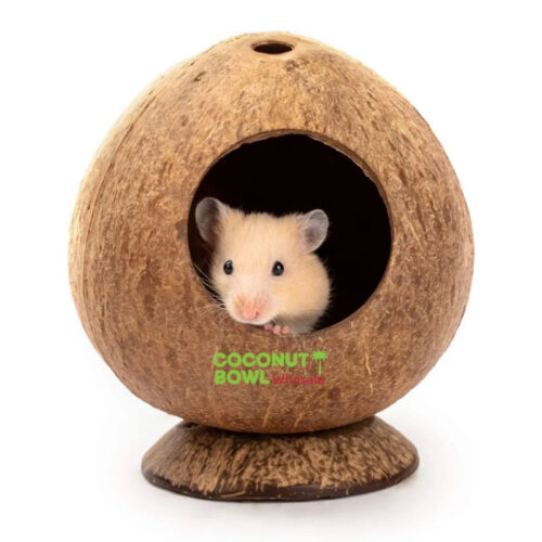 Hamster Nest Coconut Shell (CBP-0007)