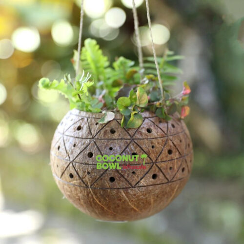 Handcrafted Coconut Shell Hanging Planter (DCB-0054)