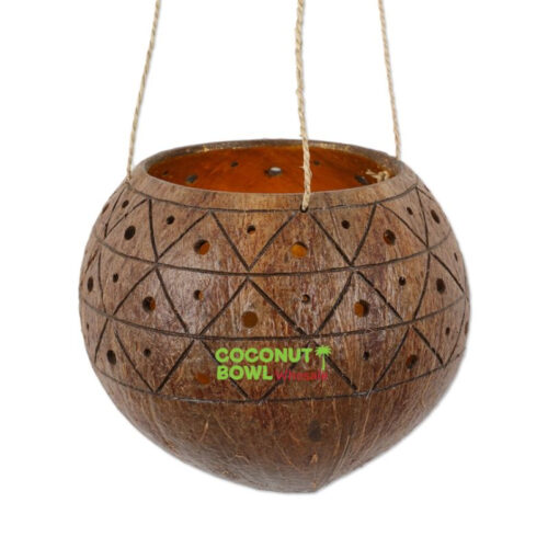 Handcrafted Coconut Shell Hanging Planter (DCB-0054)