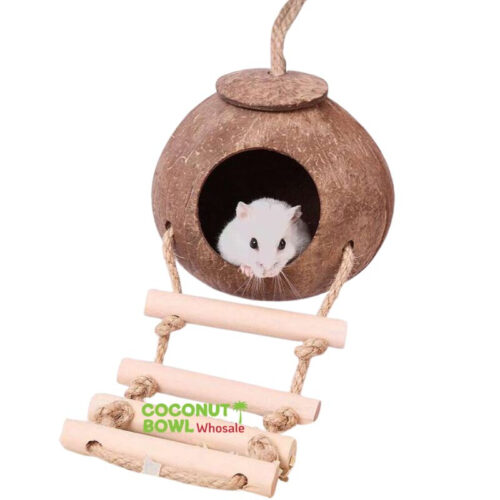 Hanging Hamster House With Ladder Coconut Shell (CBP-0006)