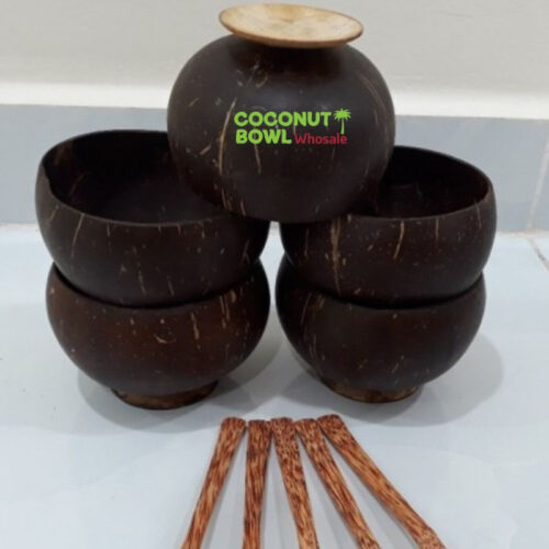 Wholesale Coconut Bowl Cup