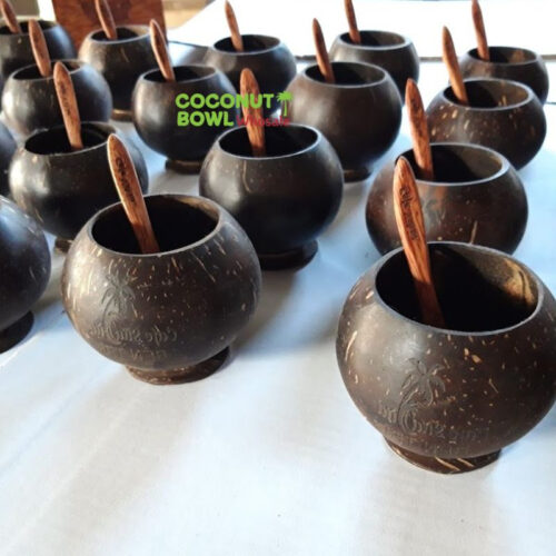 Wholesale Coconut Bowl Cup