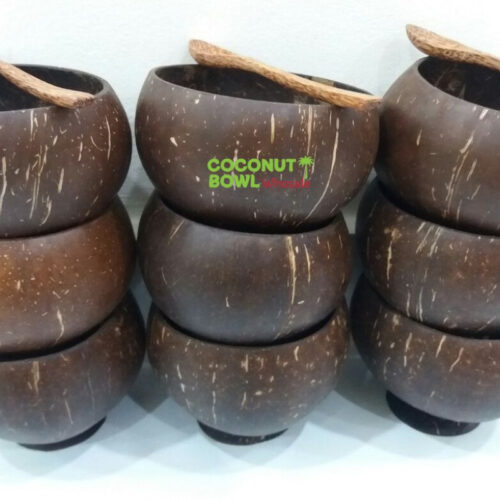 Wholesale Coconut Bowl Cup