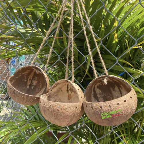 Wholesale Coconut Shell House For Pet