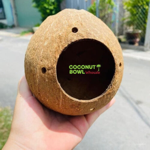 Wholesale Coconut Shell House For Pet