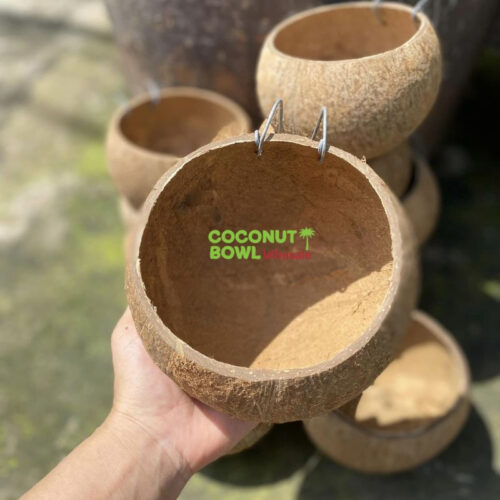 Wholesale Coconut Shell House For Pet