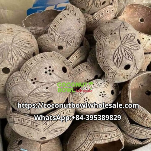 Wholesale Coconut Shell Planter Pot