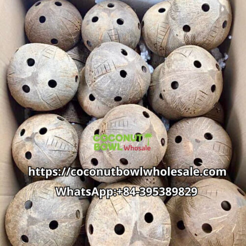 Wholesale Coconut Shell Planter Pot