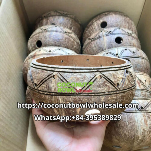 Wholesale Coconut Shell Planter Pot