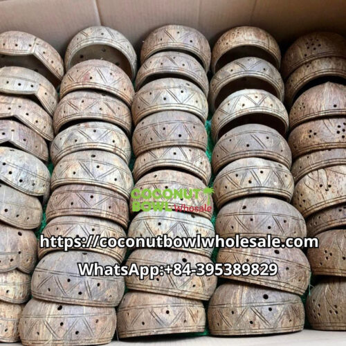 Wholesale Coconut Shell Planter Pot