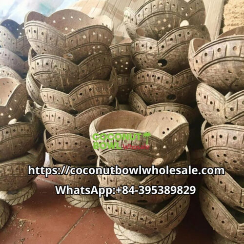 Wholesale Coconut Shell Planter Pot