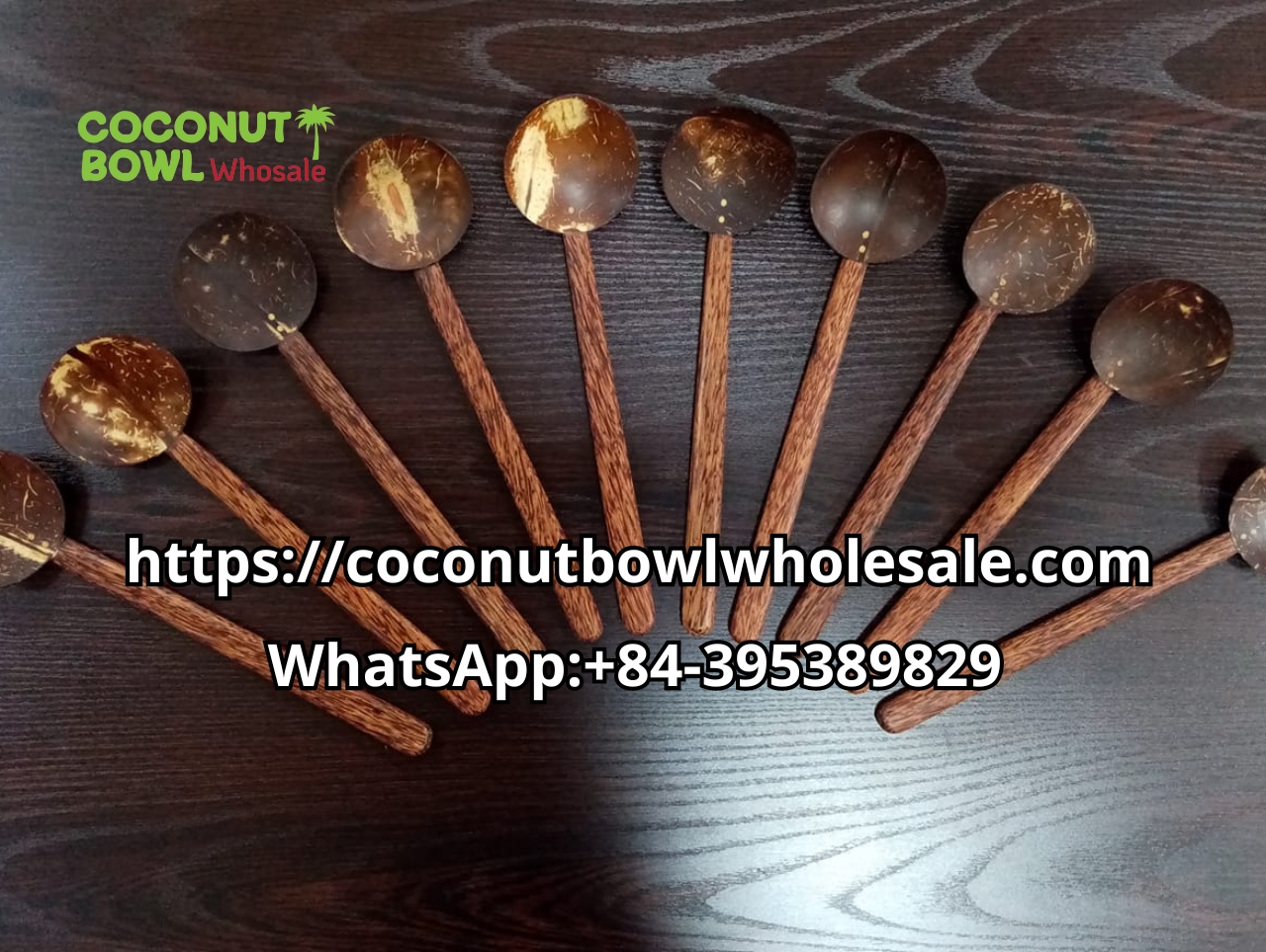 Wholesale Coconut Shell Spoon