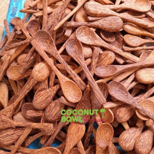 Wholesale Coconut Wooden Spoons