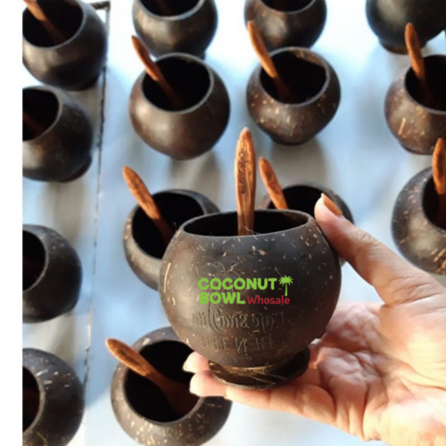 Wholesale Coconut Bowl Cup