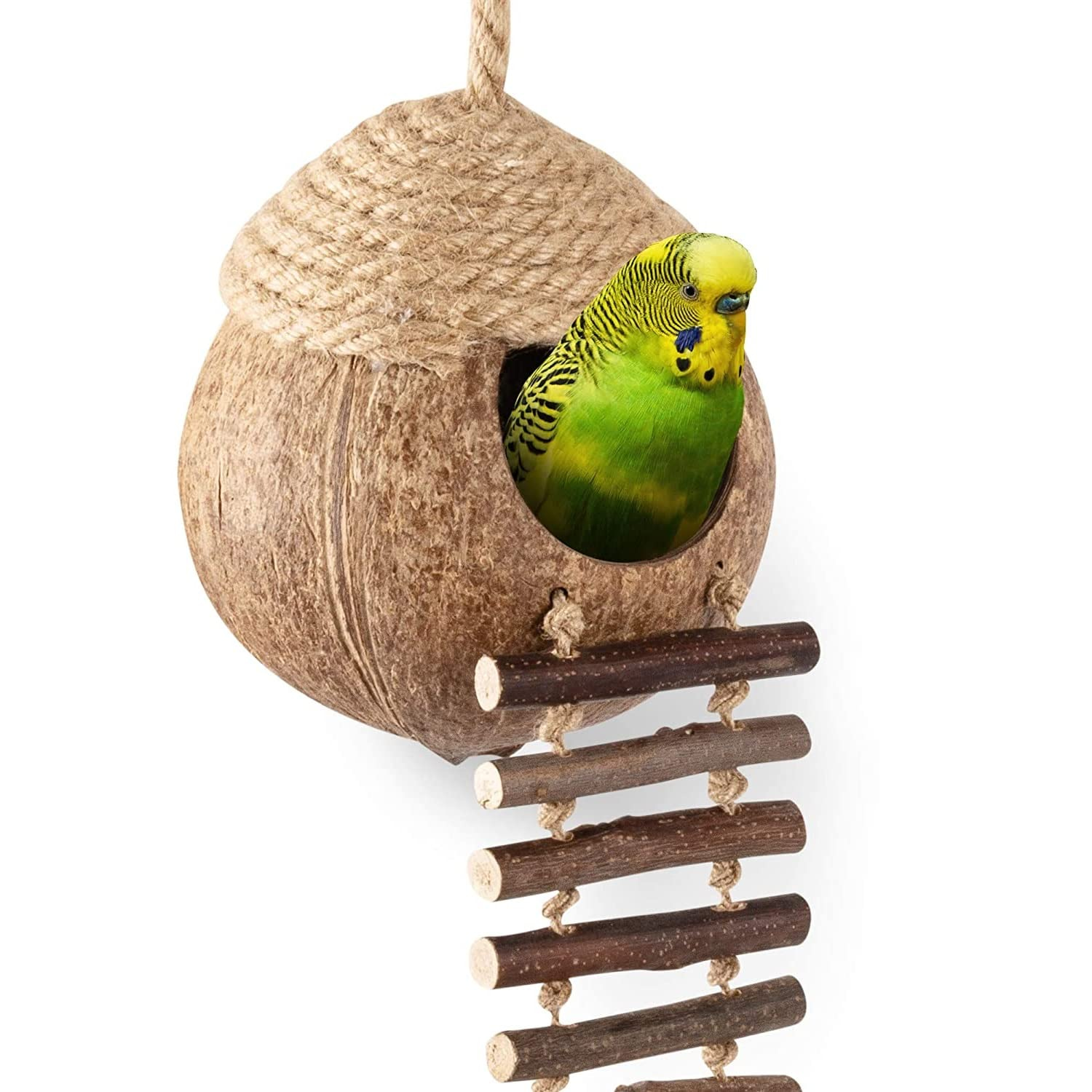 coconut-bowl-pet-nest