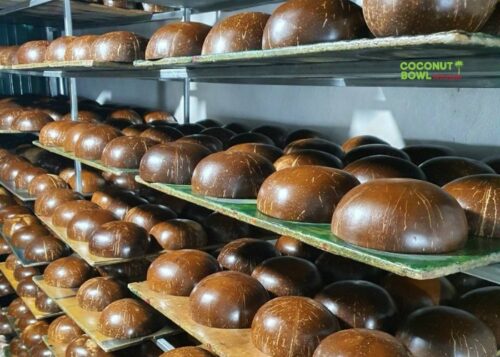 coconut bowl wholesale