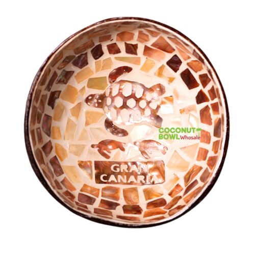 boho mother of pearl turtle coconut bowl, wholesale, bulk