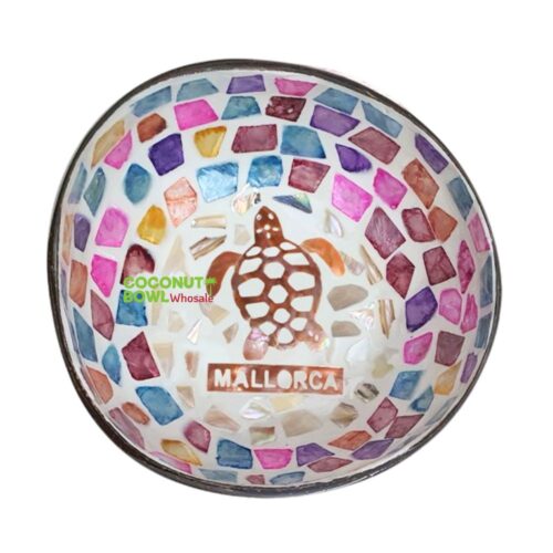 colorful mother of pearl turtle coconut bowl, wholesale, bulk