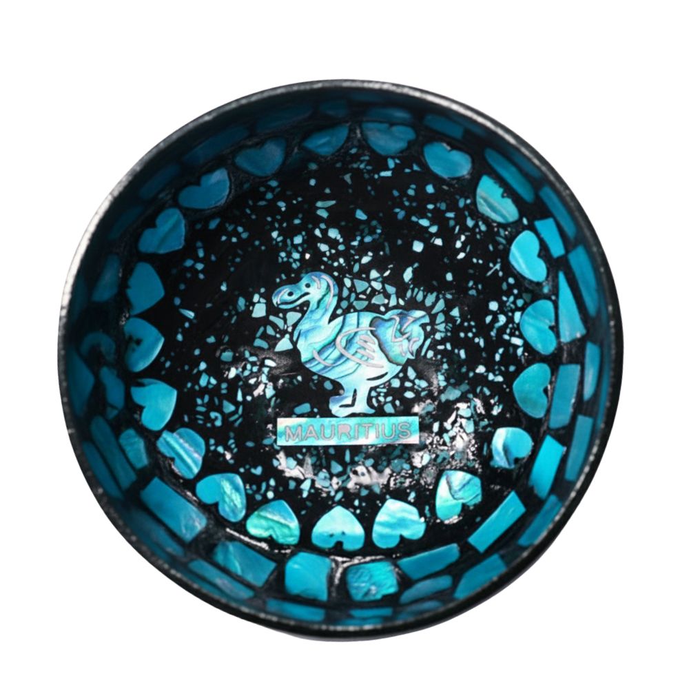 Dodo bird coconut bowl dodo bird coconut bowl, coconut bowl wholesale, bulk