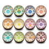 Coconut bowls wholesale Vietnam, mother of pearl