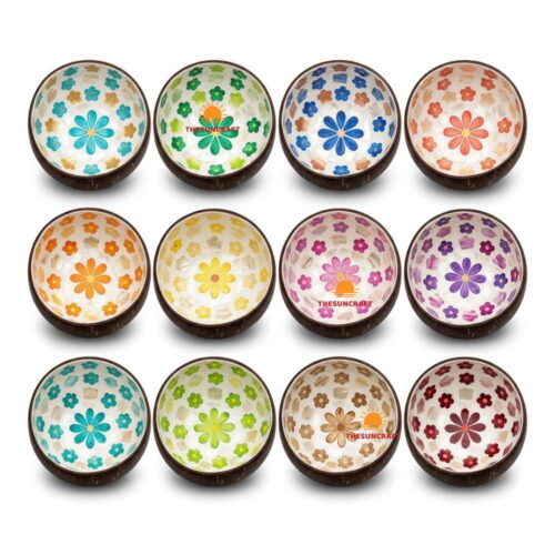 Coconut bowls wholesale Vietnam, mother of pearl