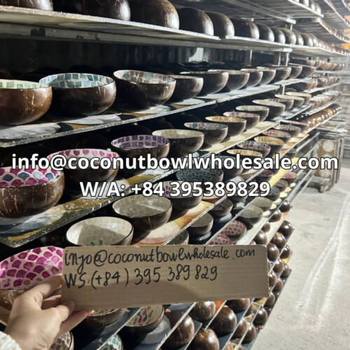 mother of pearl coconut bowl wholesale