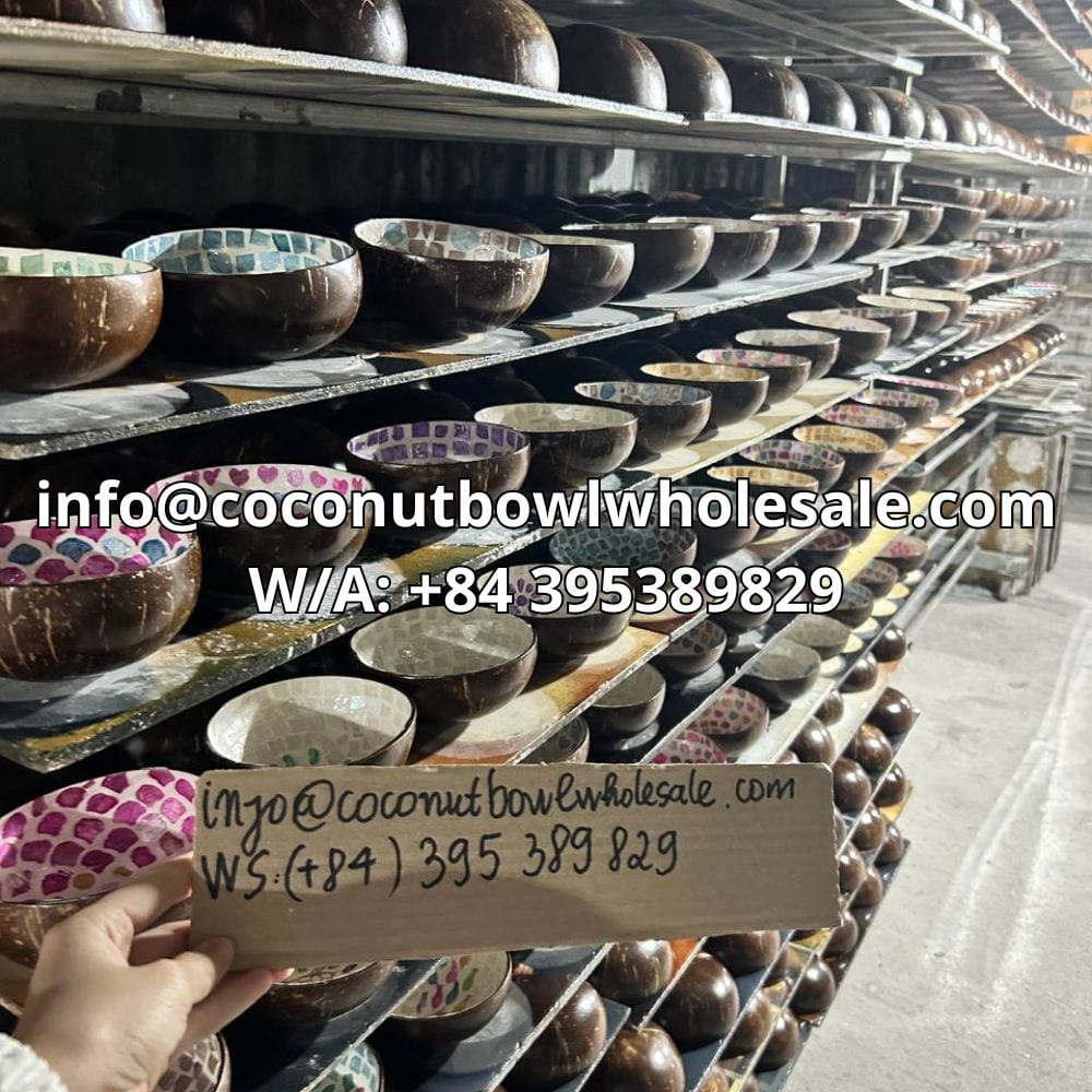 Natural Coconut Shell Craftsmanship mother of pearl coconut bowl wholesale Natural Coconut Shell Craftsmanship