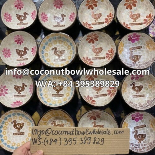 mother of pearl coconut bowl wholesale