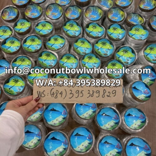 mother of pearl coconut bowl wholesale