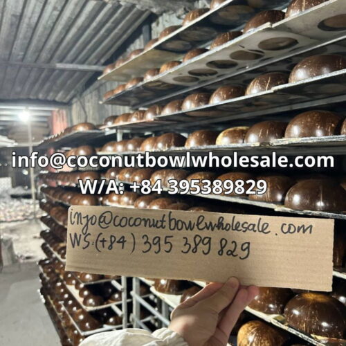 mother of pearl coconut bowl wholesale
